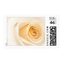 Cream Rose postage by DoodleBugTees Cream Rose postage