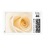 Cream Rose postage