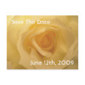 Cream Rose Save The Date Postcard