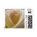 Cream Rose Small postage by SweetRascal Cream Rose Small postage