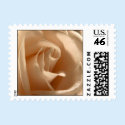 Cream Rose (Small Square) Postage postage by TDSwhite Cream Rose (Small Square) Postage postage