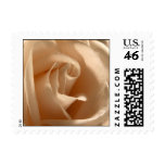 Cream Rose (Small Square) Postage postage