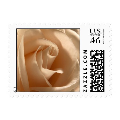 Cream Rose (Small Square) Postage