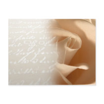 Cream Rose Wedding Customize Postcard
