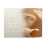 Cream Rose Wedding Customize Postcard