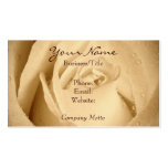 Cream Rose with dewdrops Business Card Template