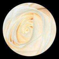 Cream Rosebud Sticker by Firecrackinmama Cream Rosebud Sticker