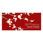 Cream Sakuras Cherry Blossoms Gift Certificate Full Color Rack Card