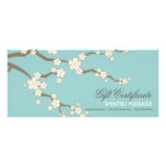 Cream Sakuras Cherry Blossoms Gift Certificate Rack Card
