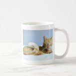 Cream Tabby mugs