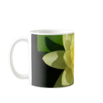 Cream Water Lily mugs
