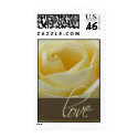 Cream White Bridal Rose postage