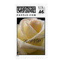 CreamPerfection RSVP Stamp by SweetRascal CreamPerfection RSVP Stamp