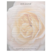 Creamy Apricot Rose DSC6042 letterhead