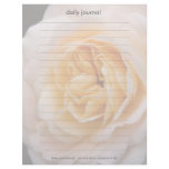 Creamy Apricot Rose DSC6042 Letterhead Template