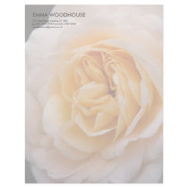 Creamy Apricot Rose DSC6042 letterhead