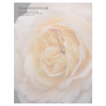 Creamy Apricot Rose DSC6042 Custom Letterhead