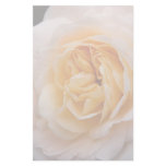 Creamy Apricot Rose DSC6042 Stationery Design