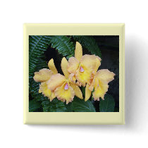 Creamy Orchids Corsage  Pin buttons
