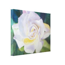 Creamy White Rose Gallery Wrap Canvas