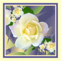 creamy white rose posters