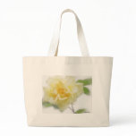 Creamy Yellow Rose 2 Creamy Yellow Rose 2