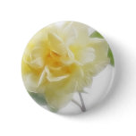 Creamy Yellow Rose 2 Creamy Yellow Rose 2