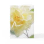 Creamy Yellow Rose 2 Creamy Yellow Rose 2