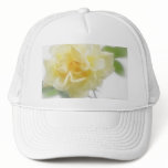 Creamy Yellow Rose 2 Creamy Yellow Rose 2