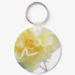 Creamy Yellow Rose 2 Creamy Yellow Rose 2