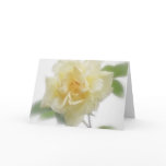 Creamy Yellow Rose Creamy Yellow Rose