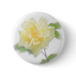 Creamy Yellow Rose - Divinity Creamy Yellow Rose - Divinity