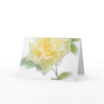 Creamy Yellow Rose - Divinity Creamy Yellow Rose - Divinity