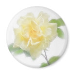 Creamy Yellow Rose - Divinity Creamy Yellow Rose - Divinity