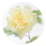 Creamy Yellow Rose - Divinity Creamy Yellow Rose - Divinity