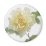 Creamy Yellow Rose Creamy Yellow Rose