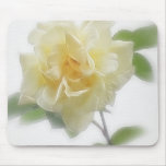 Creamy Yellow Rose Creamy Yellow Rose