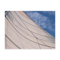 Create Your Custom Postcard