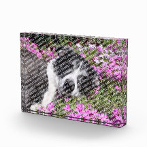 Create Your Own Acrylic Block Print Gift Template Awards