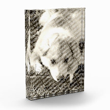 Create Your Own Acrylic Block Print Gift Template Award