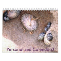 Create Your Own Calendar by Illusnist Create Your Own Calendar
