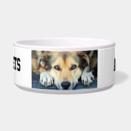 Create your own petbowl