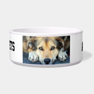 Create your own dog water bowls