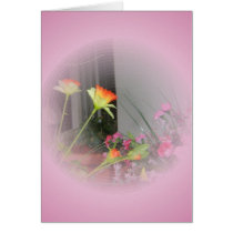 CREATE YOUR OWN PET PHOTO cards by FotoShop CREATE YOUR OWN PET PHOTO cards