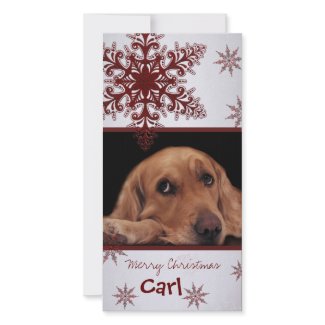 Create your own pet photo card photocard
