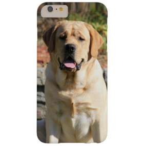 Create your own pet photo barely there iPhone 6 plus case
