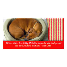 Create your own pet photo holiday card photo card