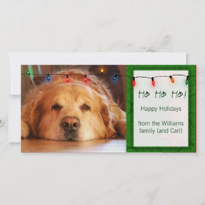 Create your own pet photo holiday card photo cards