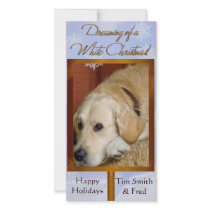 Create your own pet photo holiday card photo cards