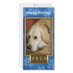 Create your own pet photo holiday card